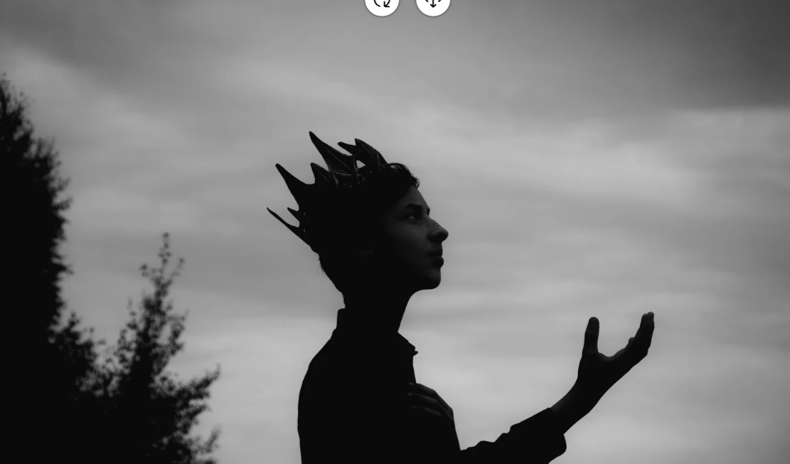 Silhouette of a person wearing a crown against a cloudy sky