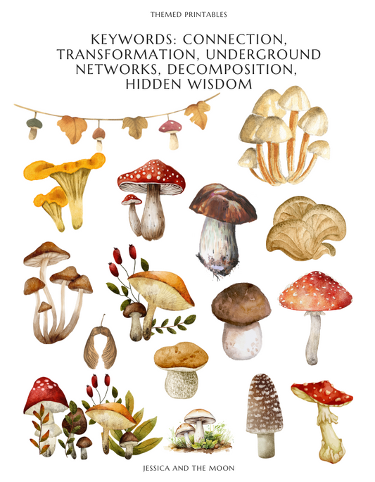 Monthly Journal Toolkit and Themed Printables