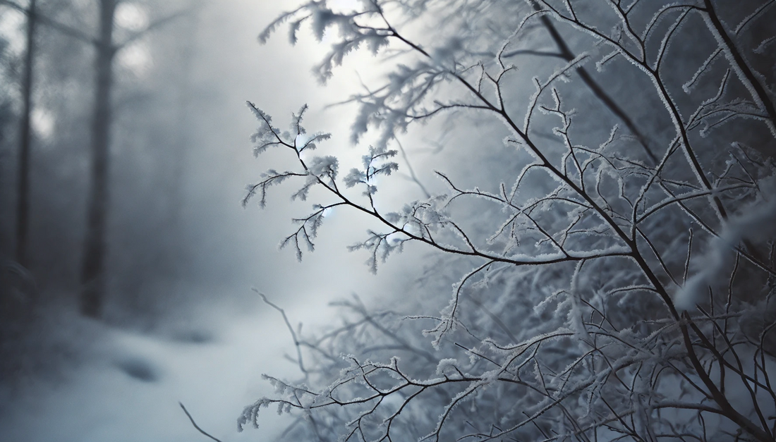 December Astrology Forecast: Pause to Gain Clarity