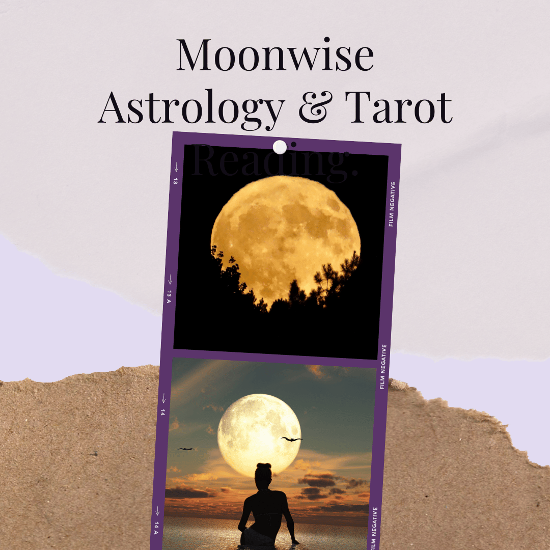 MoonWise Astrology & Tarot Reading